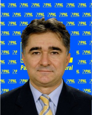Ion Ghise senator PNL